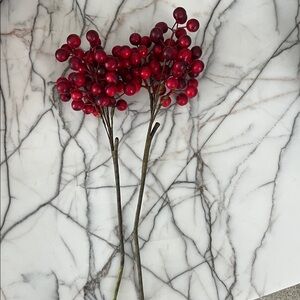 Red Berry Stem Floral Picks (Set of 2)